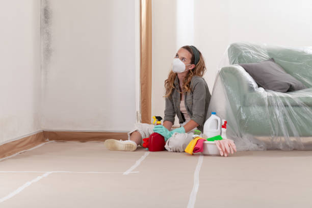 Reliable Basement Mold Remediation contractor in Belle Haven, VA by 24 Hour Mold Removal
